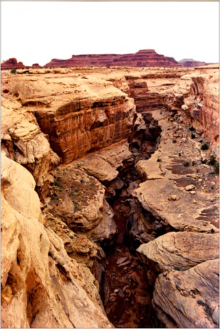  8105967-positive-001-20241101