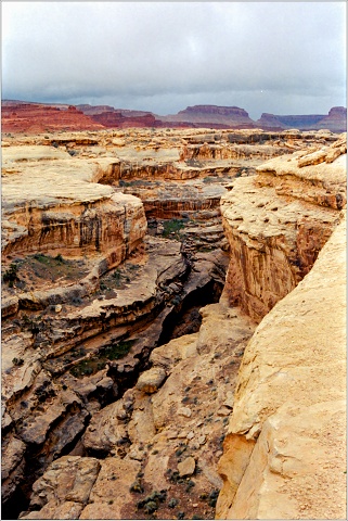  8105968-positive-003-20241101