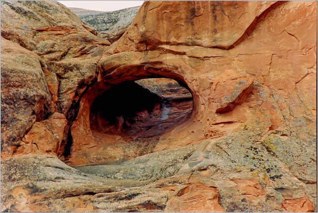  8105970-positive-004-20241101