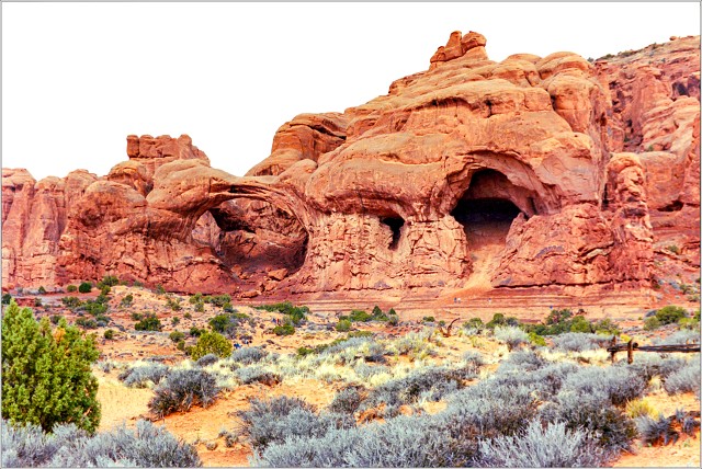  8105972-positive-006-20241101