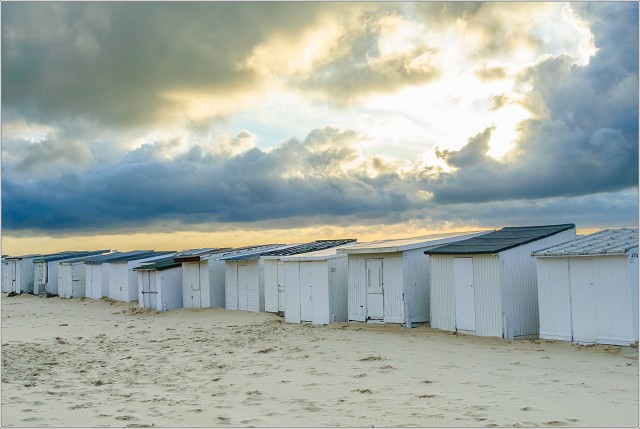  DSC3549-001-20070616