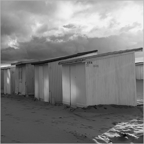  DSC3552-001-20070616