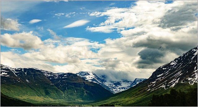  DSC6836-003-20080620