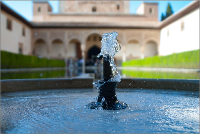  DSC8044-002-20090422