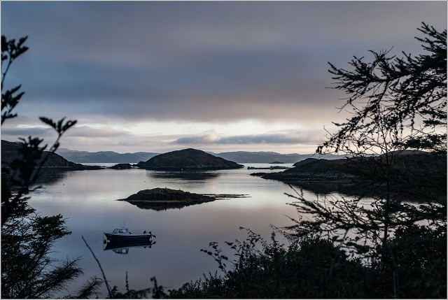  DSC8808-010-20090914