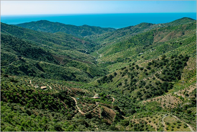  DSC7668-002-20090421