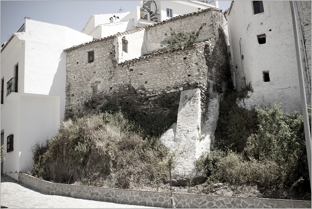  DSC7687-003-20090421