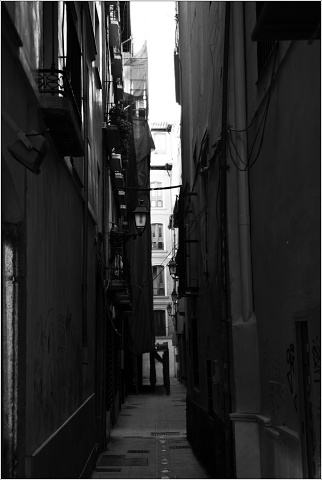  DSC7764-007-20090421