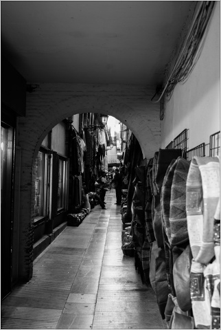  DSC7771-009-20090421