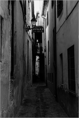  DSC7937-016-20090422