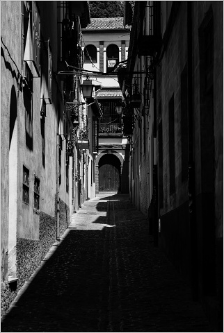  DSC7953-017-20090422