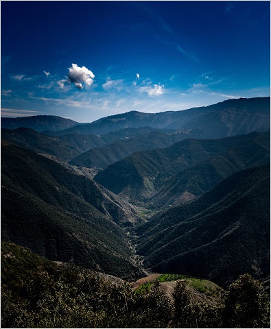  1000942-005-20100401