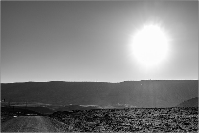  1000956-007-20100401