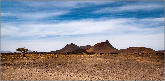  1010102-011-20100403