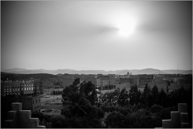  1010229-015-20100404