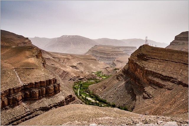  1010299-003-20100405