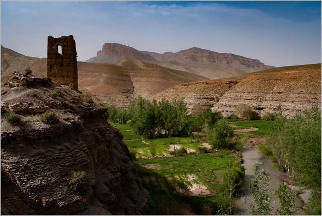  1010330-004-20100405