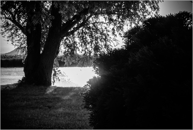  1040957-003-20120716