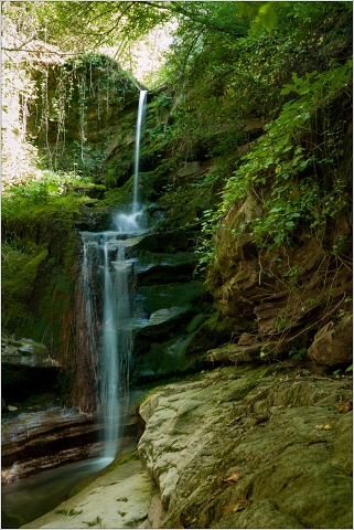  1050119-005-20120719