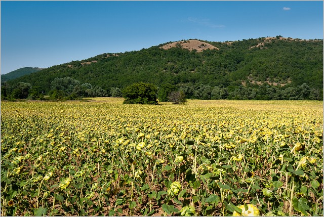  1050318-007-20120727