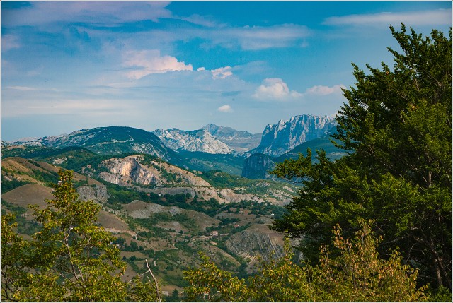  1050960-025-20120810