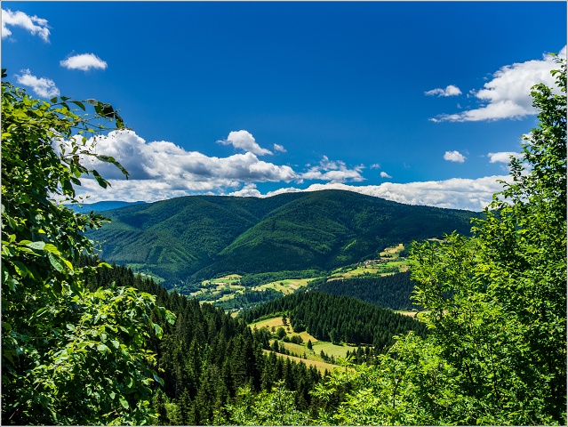  7090253-003-20140709