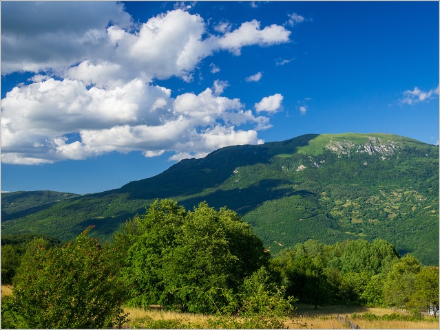  7090267-004-20140709