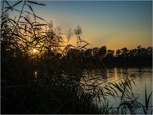  8272746-004-20160827