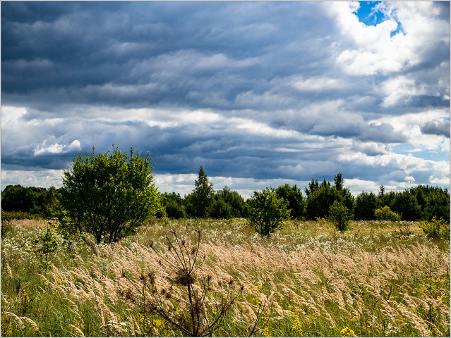  8312881-009-20160831