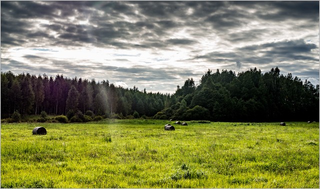  8312902-010-20160831