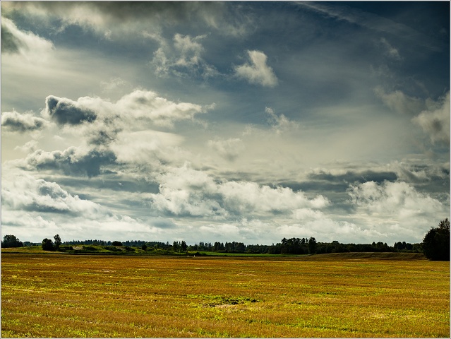  9033030-019-20160903