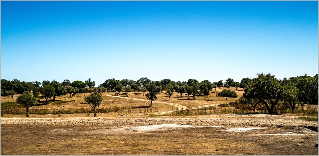  9054096-002-20170905