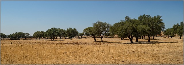  9054121-003-20170905