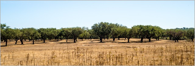  9054123-004-20170905