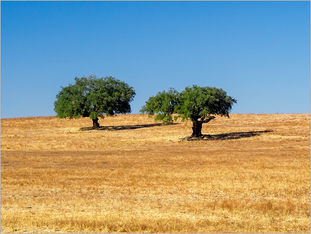  9054156-005-20170905