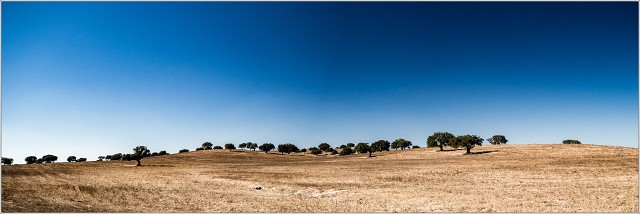  9054158-Pano-006-20170905