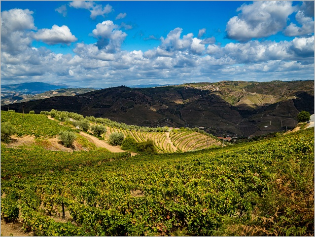  9094453-008-20170909