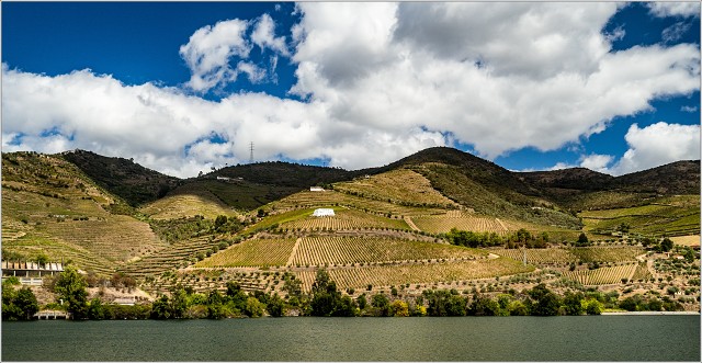  9094460-009-20170909