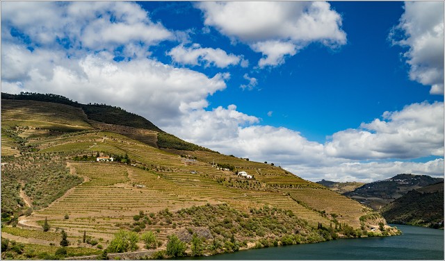  9094466-010-20170909