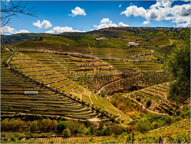  9094478-041-20170909