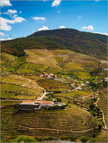  9094480-011-20170909