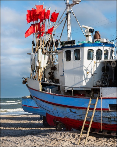 810 5340-Edit-04-003-20181119