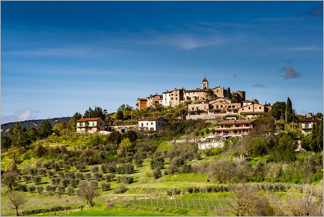 810 1581-017-20180413