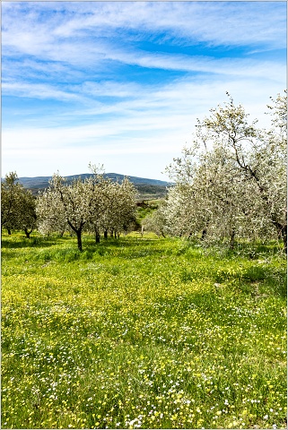 810 1657-019-20180414