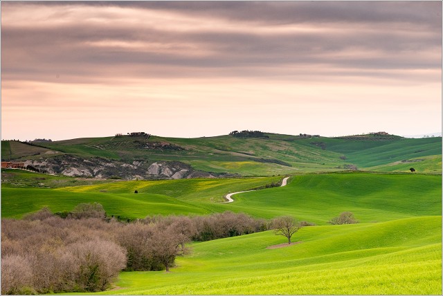 810 1779-022-20180414