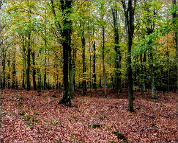 810 8437-Edit-003-20191022