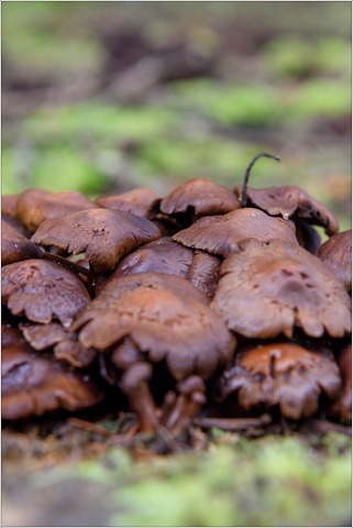 810 8454-006-20191022