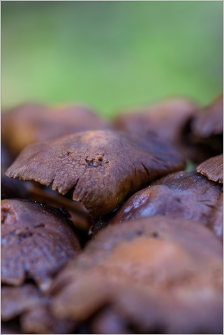 810 8457-007-20191022