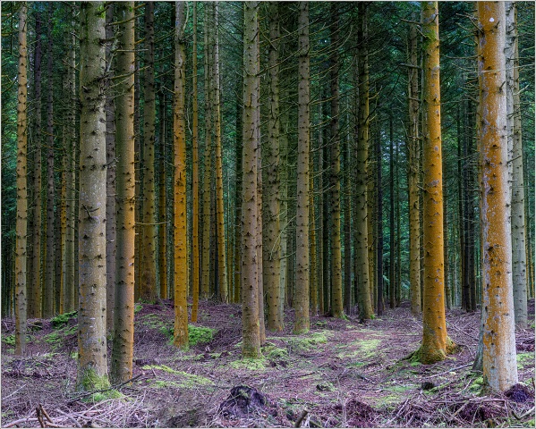 810 8463-Edit-008-20191022