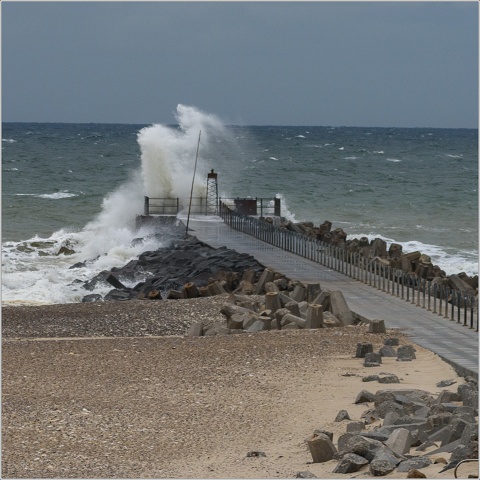 810 8489-009-20191022